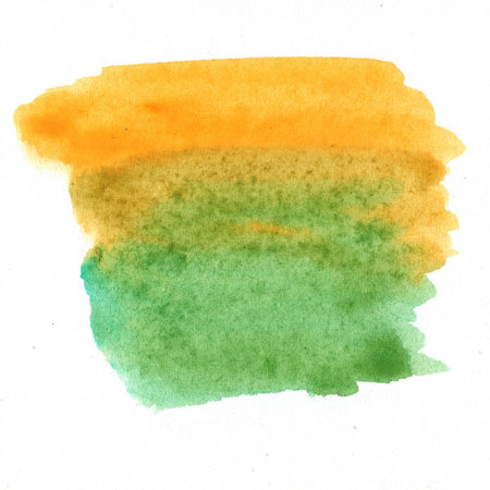 Watercolour yellow and green brush strokes painted background. Texture paper. Hand drawn illustration.の写真素材