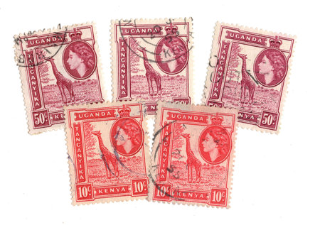 Vintage postage stamps from Kenya, Uganda and Tanganyika isolated on a white background.の写真素材