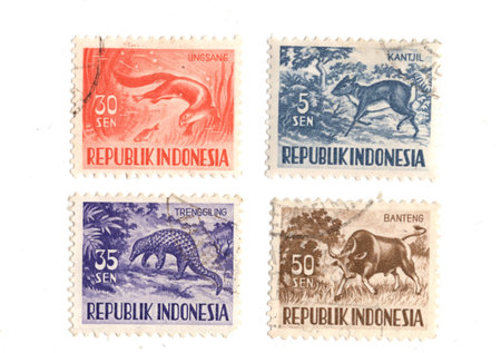 Vintage postage stamps from Indonesia on a white background.の写真素材