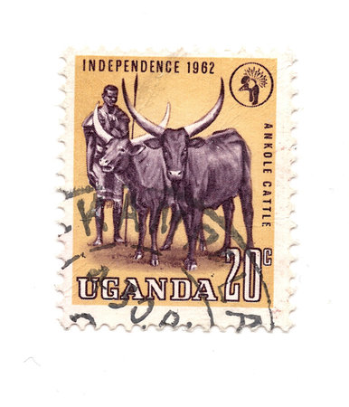 A vintage postage stamp from Uganda.の写真素材