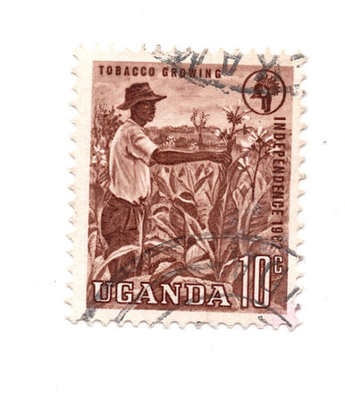 A vintage postage stamp from Uganda.の写真素材