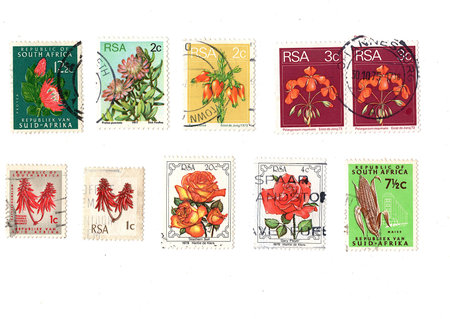 Vintage flower postage stamps from South Africa isolated on a white background.の写真素材