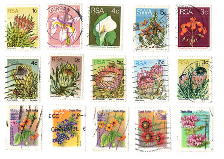 Vintage flower postage stamps from South Africa isolated on a white background.の写真素材