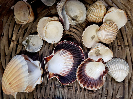 Seashells in a basket on a wooden background. Top view.