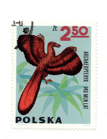 A vintage postage stamp from Poland isolated on a white background.の写真素材