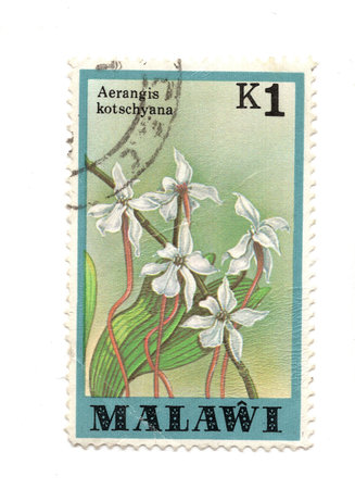 A vintage postage stamp from Malawi isolated on a white background.の写真素材