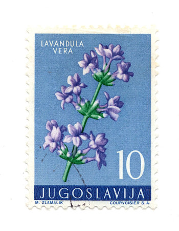 A vintage postage stamp from Yugoslavia isolated on a white background.