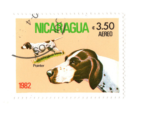 A vintage postage stamp from Nicaragua isolated on a white background.