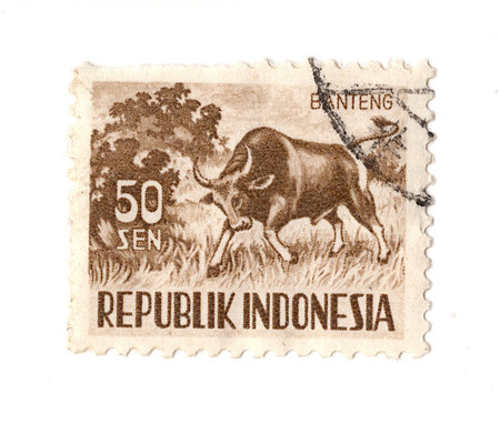 A vintage postage stamp from Indonesia isolated on a white background.の写真素材