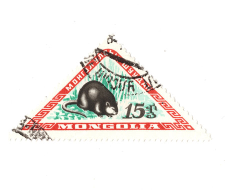 A vintage postage stamp from Mongolia isolated on a white background.の写真素材