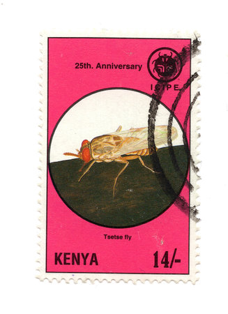 A vintage postage stamp from Kenya isolated on a white background.の写真素材