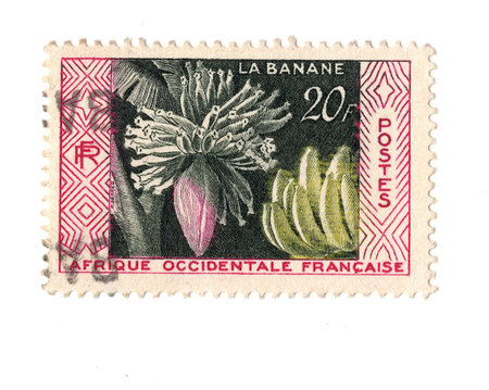 A vintage postage stamp from French West Africa isolated on a white background.の写真素材