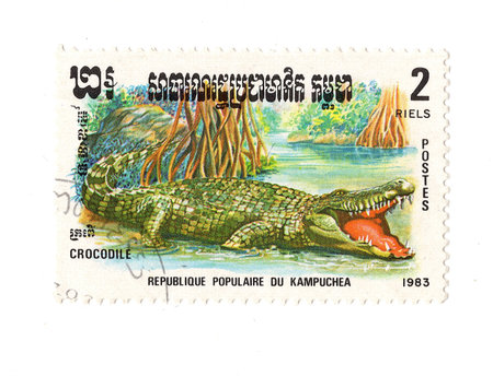 A vintage postage stamp from Kampuchea isolated on a white background.の写真素材