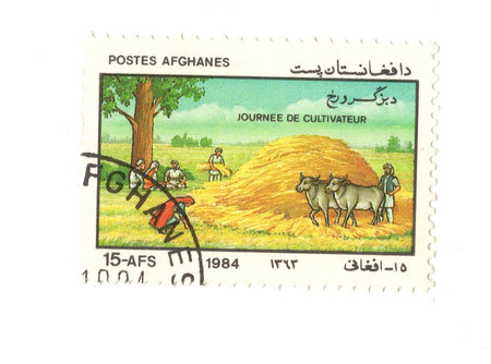 A vintage postage stamp from Afghanistan isolated on a white background.の写真素材