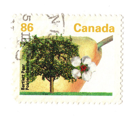 A vintage postage stamp isolated on a white background.の写真素材