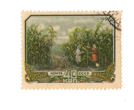 A vintage postage stamp from Russia isolated on a white background.の写真素材