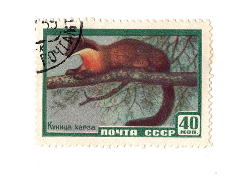 A vintage postage stamp from Russia isolated on a white background.