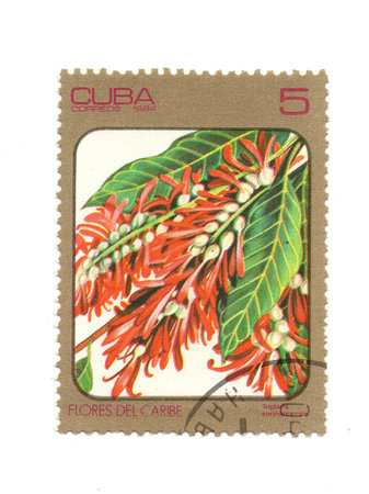 A vintage postage stamp from Cuba isolated on a white background.の写真素材