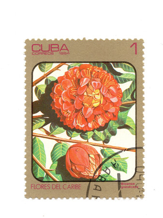 A vintage postage stamp from Cuba isolated on a white background.