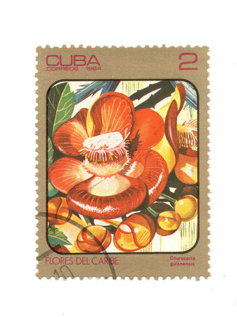 A vintage postage stamp from Cuba isolated on a white background.の写真素材