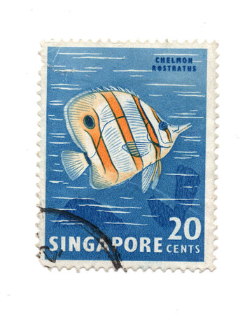 A vintage postage stamp from Singapore isolated on a white background.の写真素材
