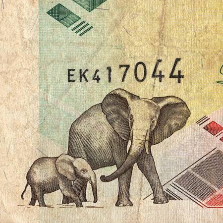 A decorative detail from a vintage banknote.の写真素材