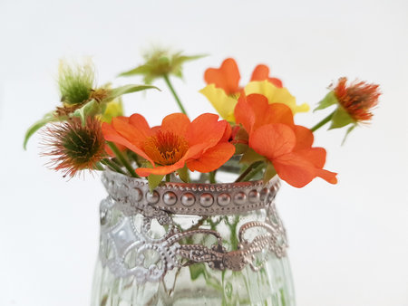 Bouquet of flowers in a glass vase on a white backgroundの写真素材