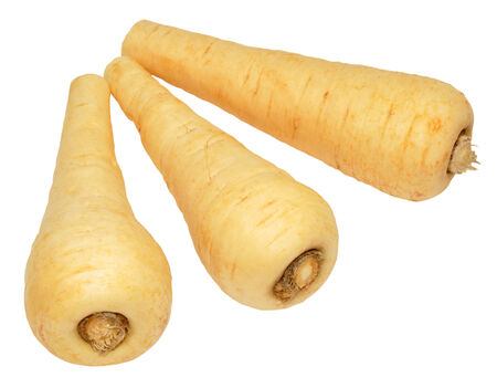 Fresh trimmed raw baby parsnip vegetables, isolated on a white background.の写真素材
