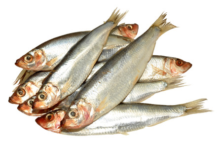 Fresh silver fish sprats isolated on a white backgroundの写真素材