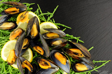 Freshly cooked mussels with samphire on a stone slate background