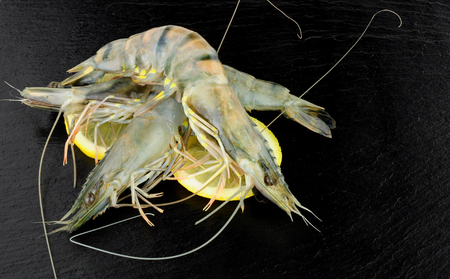 Group of whole raw black king tiger prawns on a slate stone backgroundの写真素材