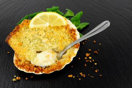 Coquille St Jacques scallop shellfish filled with white wine and cheese cream sauce, topped with breadcrumbs on a slate stone backgroundの写真素材