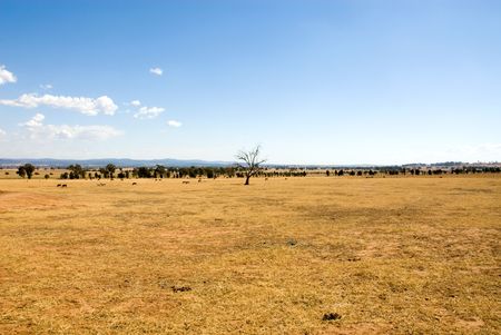 Farmland, in the Central West region of New South Wales, Australiaの写真素材