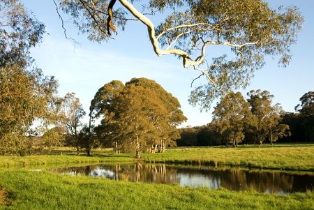 A late afternoon rural scene, near Moss Vale, New South Wales, Australiaの写真素材
