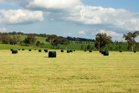 Rolls of hay, wrapped in black plastic, sitting in a field near Cootamundra, New South Wales, Australiaの写真素材