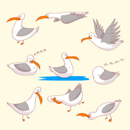 Collection of colorful vector illustrations of cartoon marine burds or seagulls in different positionsのイラスト素材