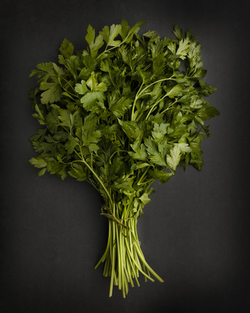 A fresh brunch of vibrant green Flat Leaf Parsley, on dark slate background, a herb ingredient and garnish.の写真素材