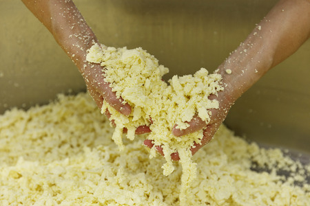 The process of making cheese separating the Curds from the Wheyの写真素材