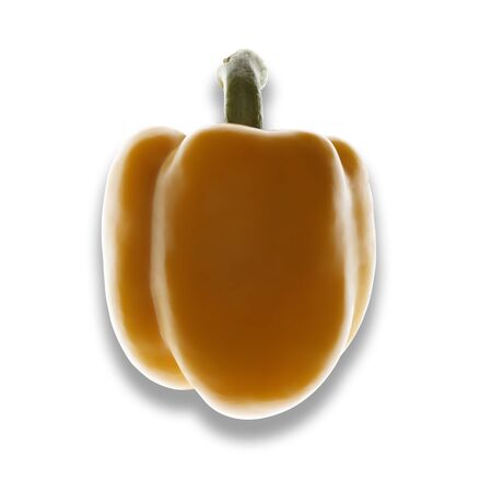 Single yellow pepper on a white background, with drop shadowの写真素材