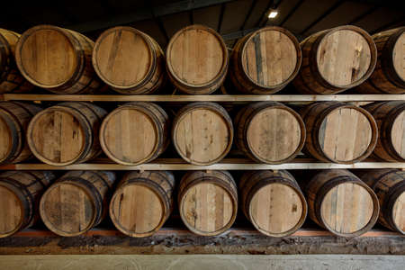 A front on view of a row of stacks of traditional full whisky barrels, set down to mature, in a...