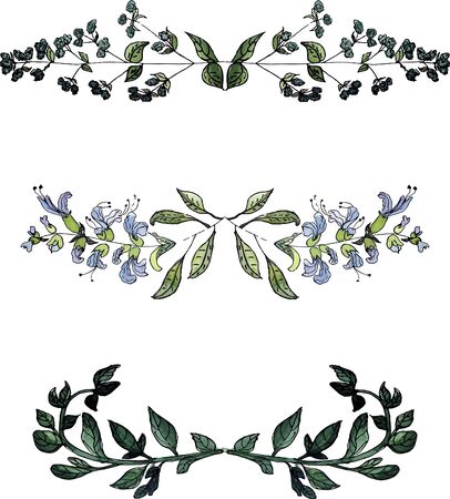 Watercolor floral borders,vintage style watercolor floral elementsのイラスト素材