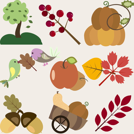 set of different autumn design elementsのイラスト素材