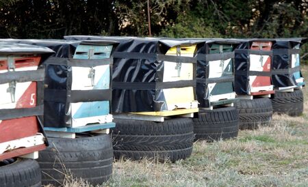 Beekeeper honey boxes in series, standing on car tires