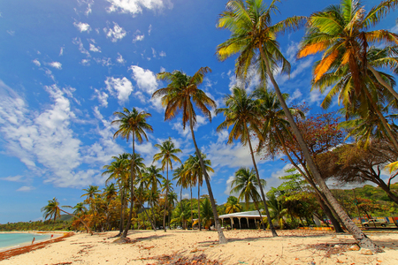 Capesterre beach in Marie Galanteの写真素材