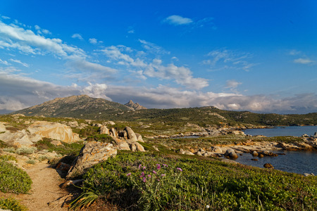 Landscape in Punta di Spano Corsicaの写真素材