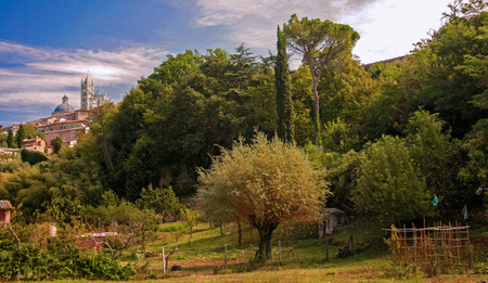 SIenna Duomo at distance, view from a garden, Tuscanyの写真素材