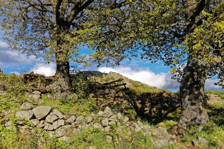 Spring Landscape in North Corsica, Battle Passの写真素材