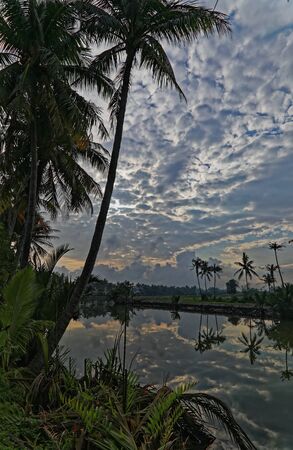 Hoi An river morning shot Portrait sizeの写真素材