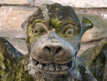 Medieval gargoyle on a stone wall in yorkの写真素材