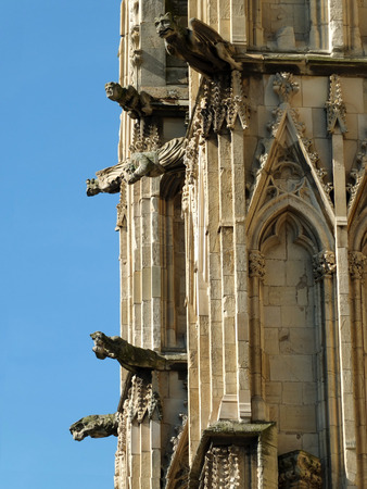 medieval gargoyles on york minsterの写真素材